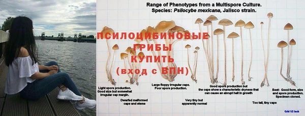 соль курить ск Верхний Тагил